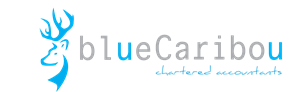 blueCaribou Chartered Accountants